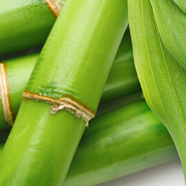active-ingredient-bamboo-so-bio-etic-270x270-1