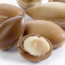 argan_mp